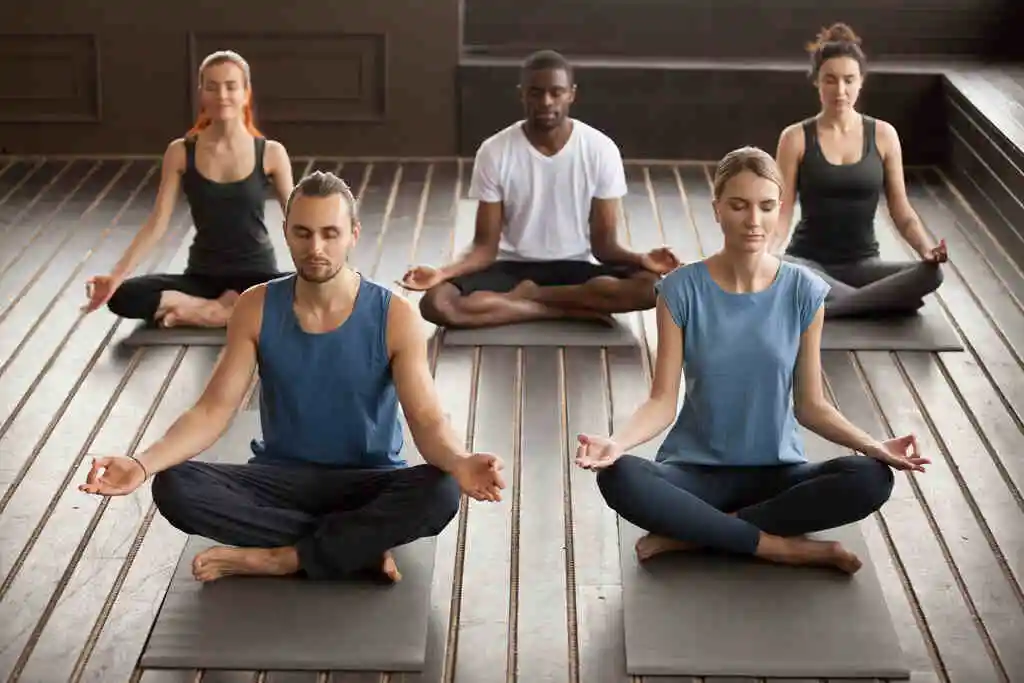 Group of people doing yoga poses