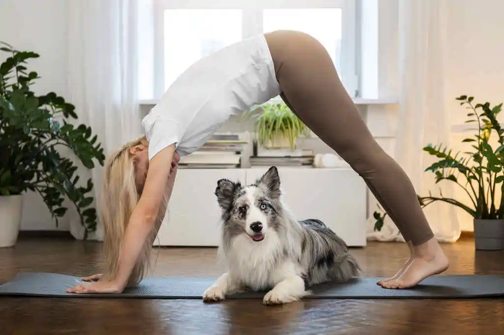 Downward Facing Dog Yoga pose